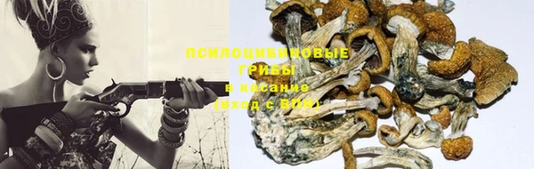 молекула духа Козловка