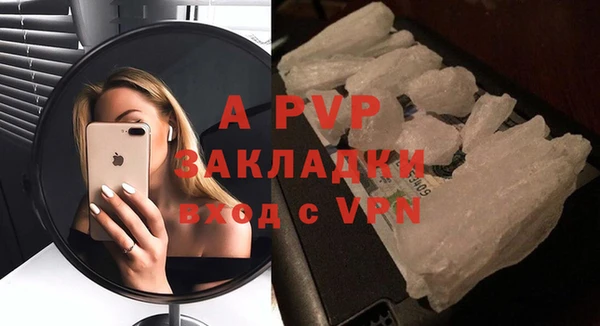 молекула духа Козловка