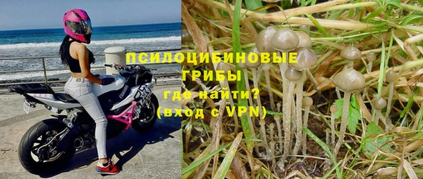 молекула духа Козловка
