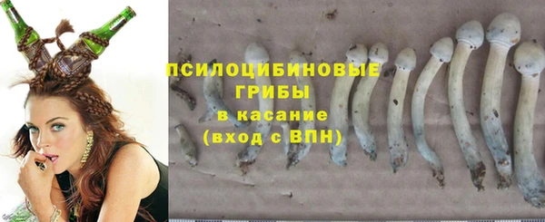 экстази Козельск