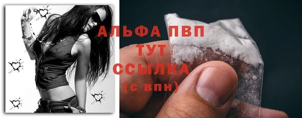 молекула духа Козловка