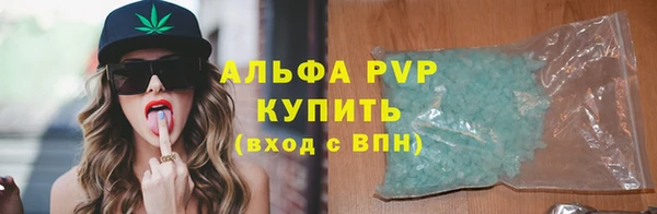 молекула духа Козловка
