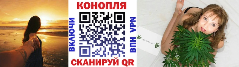 Шишки марихуана планчик  Купить закладки  Калуга 